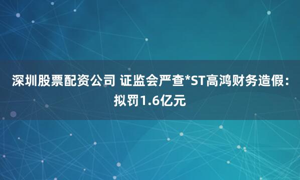 深圳股票配资公司 证监会严查*ST高鸿财务造假：拟罚1.6亿元